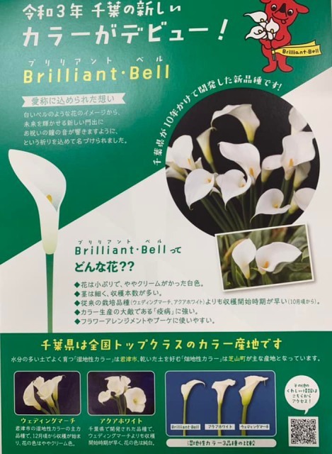 ファイル 139-1.jpg