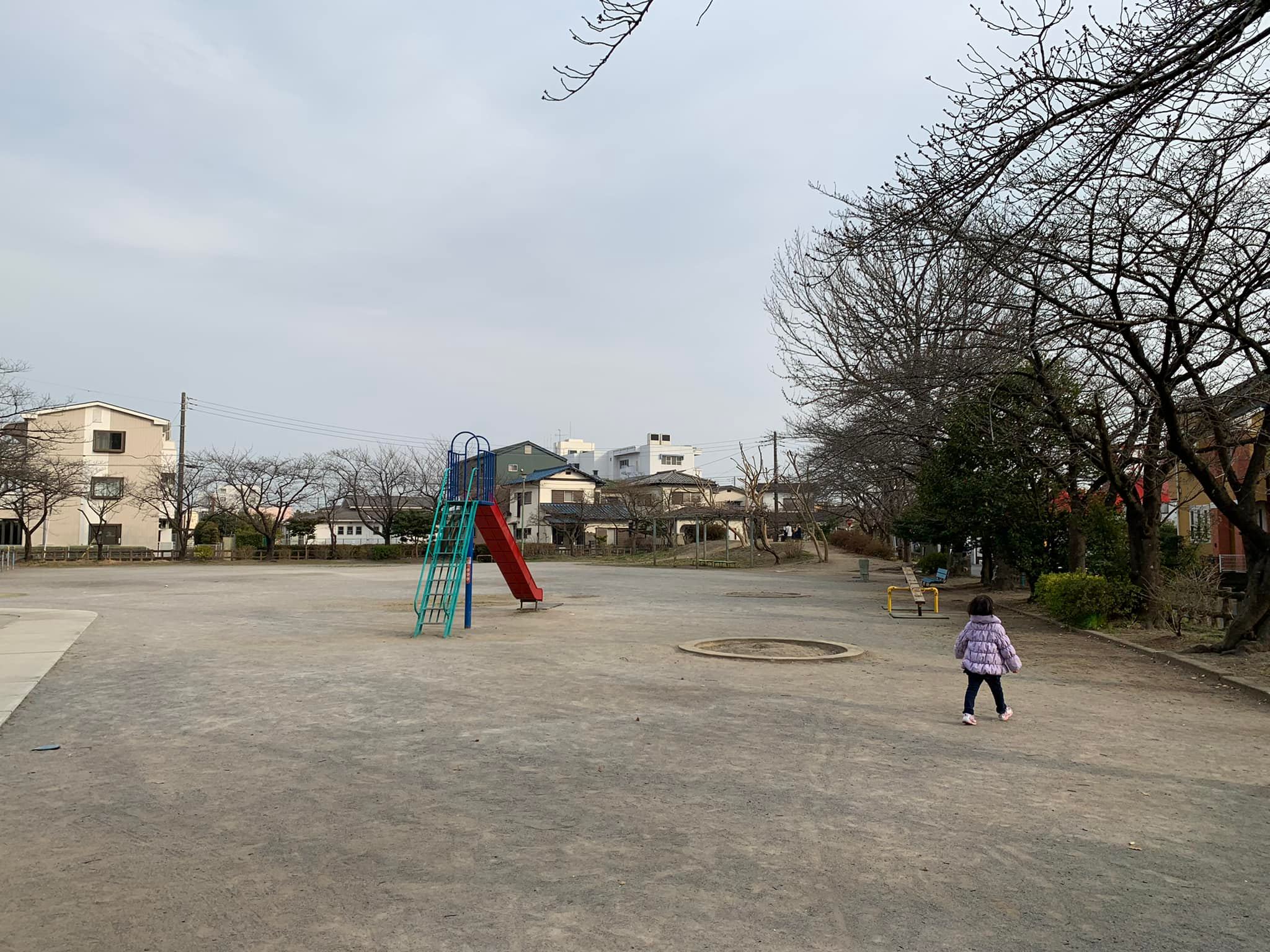 ファイル 5-1.jpg